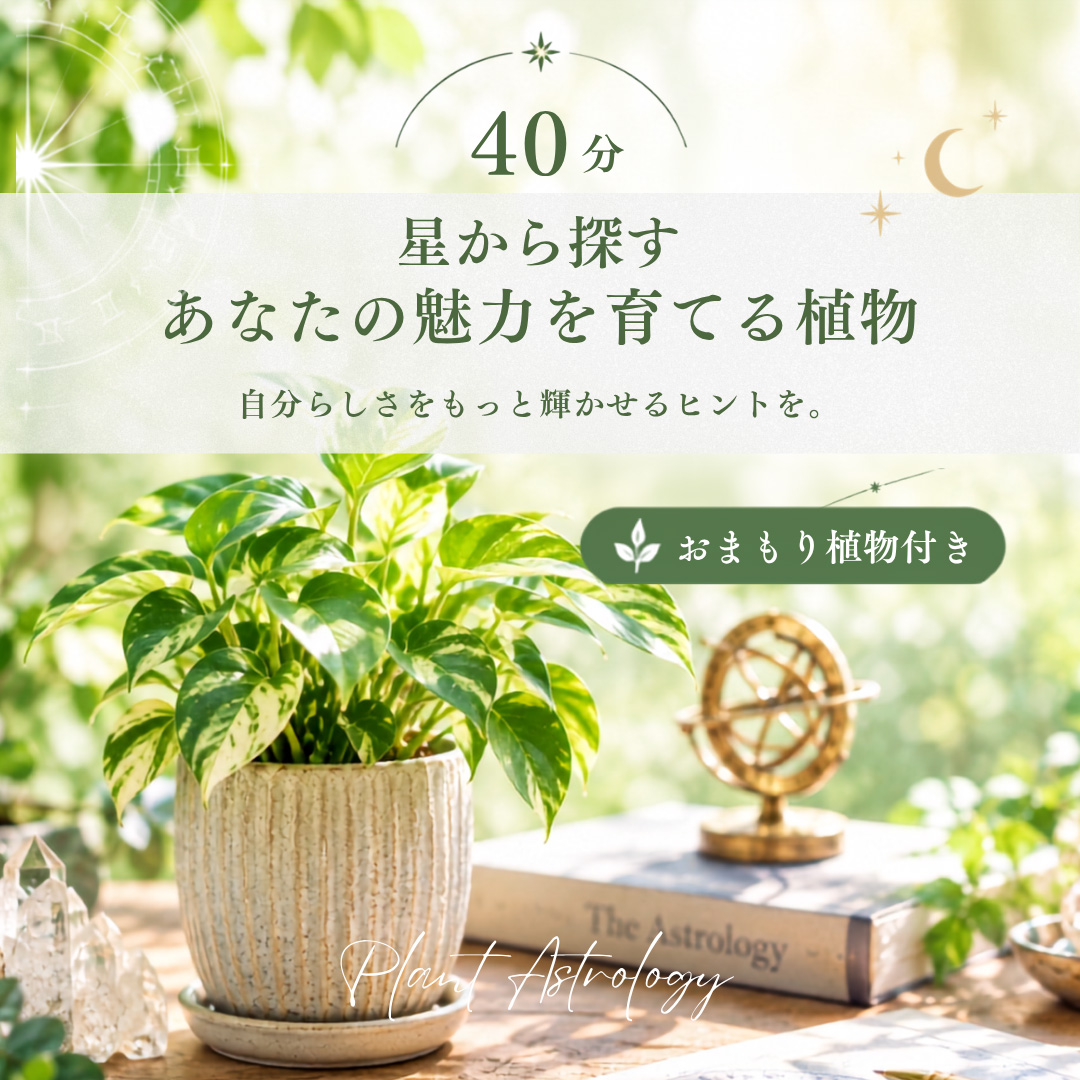 星から探す「あなたの魅力を育てる植物」40分・おまもり植物付き