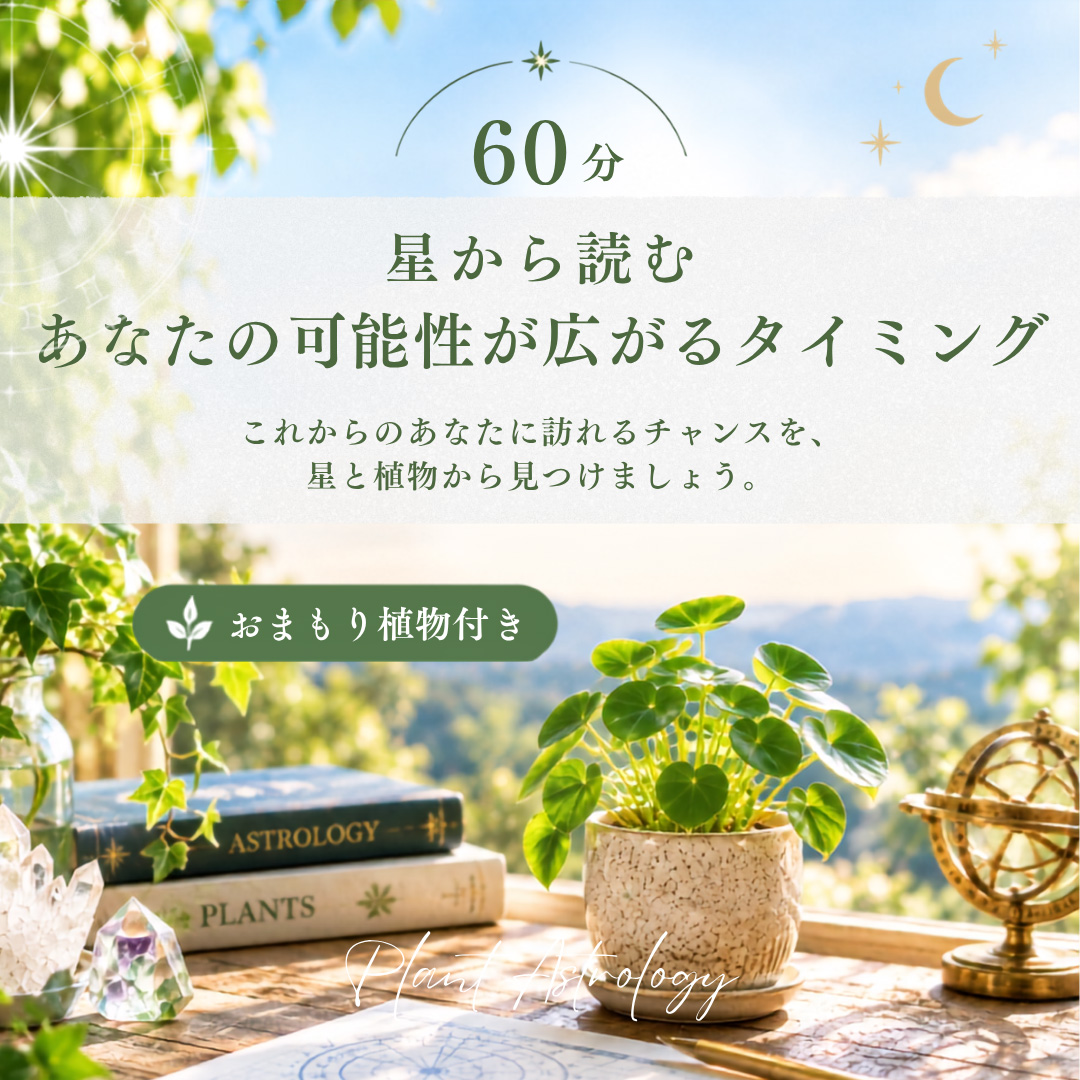 星から読む「あなたの可能性が広がるタイミング」60分・おまもり植物付き