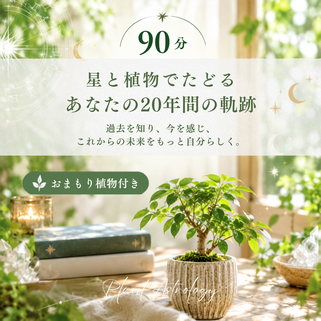 星と植物でたどる「あなたの20年間の軌跡」90分・おまもり植物付き