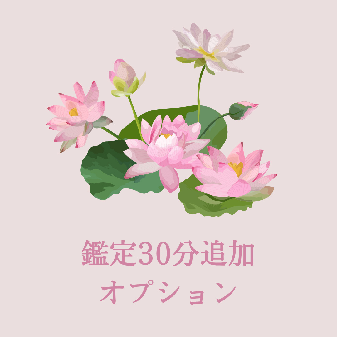 鑑定時間30分追加オプション
