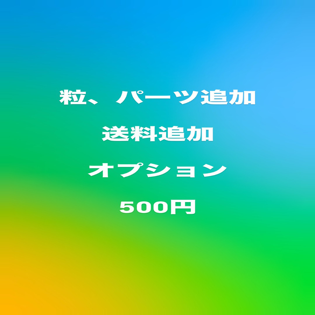 500円追加オプション